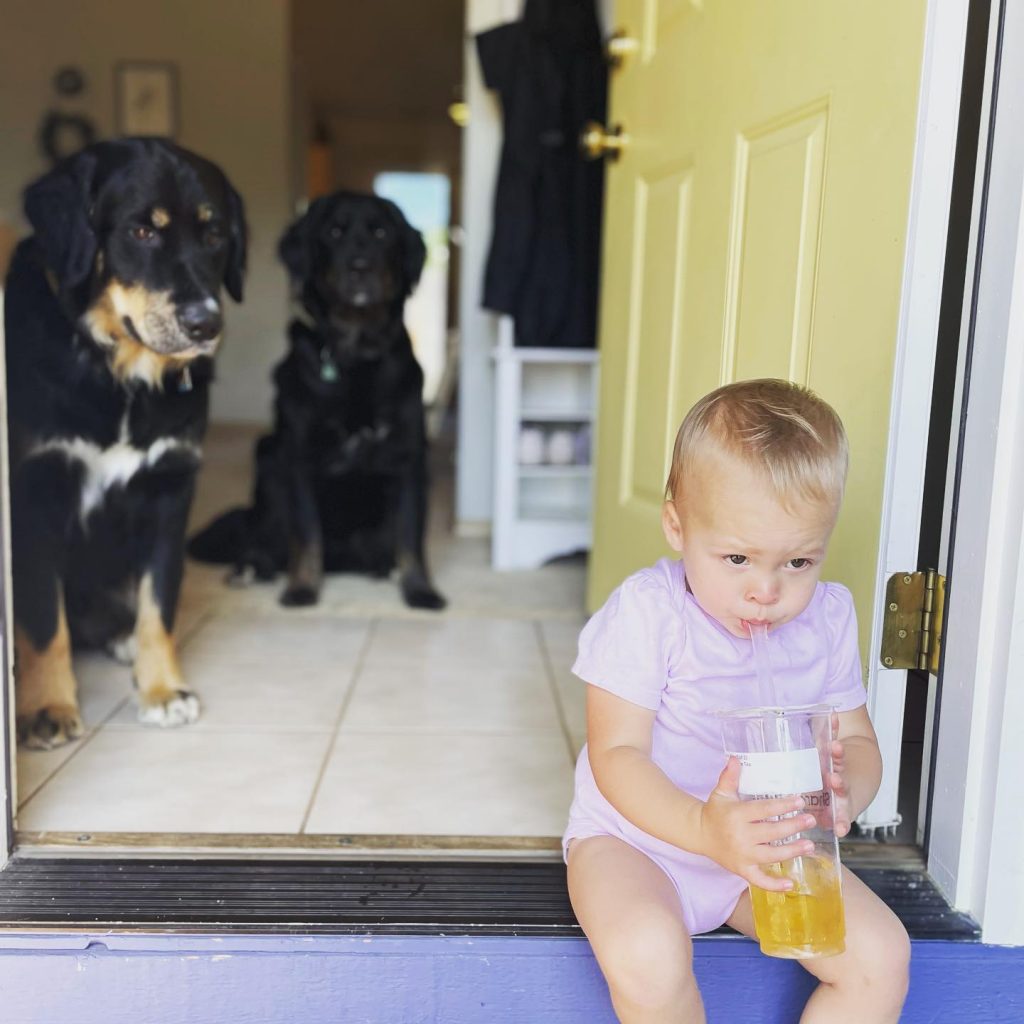 Pets